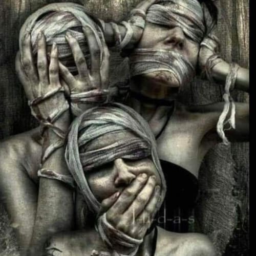 Visit DarylRedpill's profile on GETTR. View their posts, photos, videos, and connect with them on the social platform.