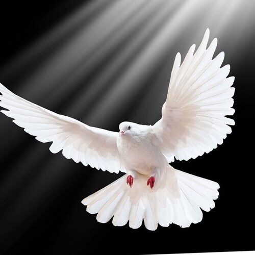 Patriotic, truth seeking genealogist rooting for the Buckeyes and America. Never stop fighting for freedom and trusting ...