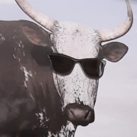 Deep blue Democrat 💙
BRANDON WON