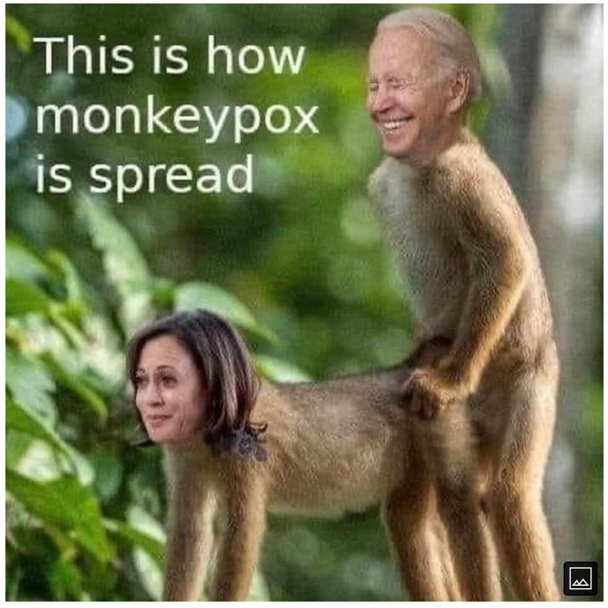 Lmao 🤣 