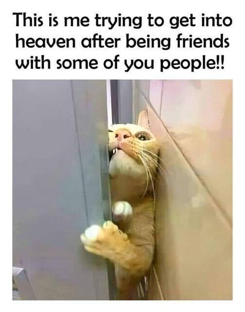 🤣