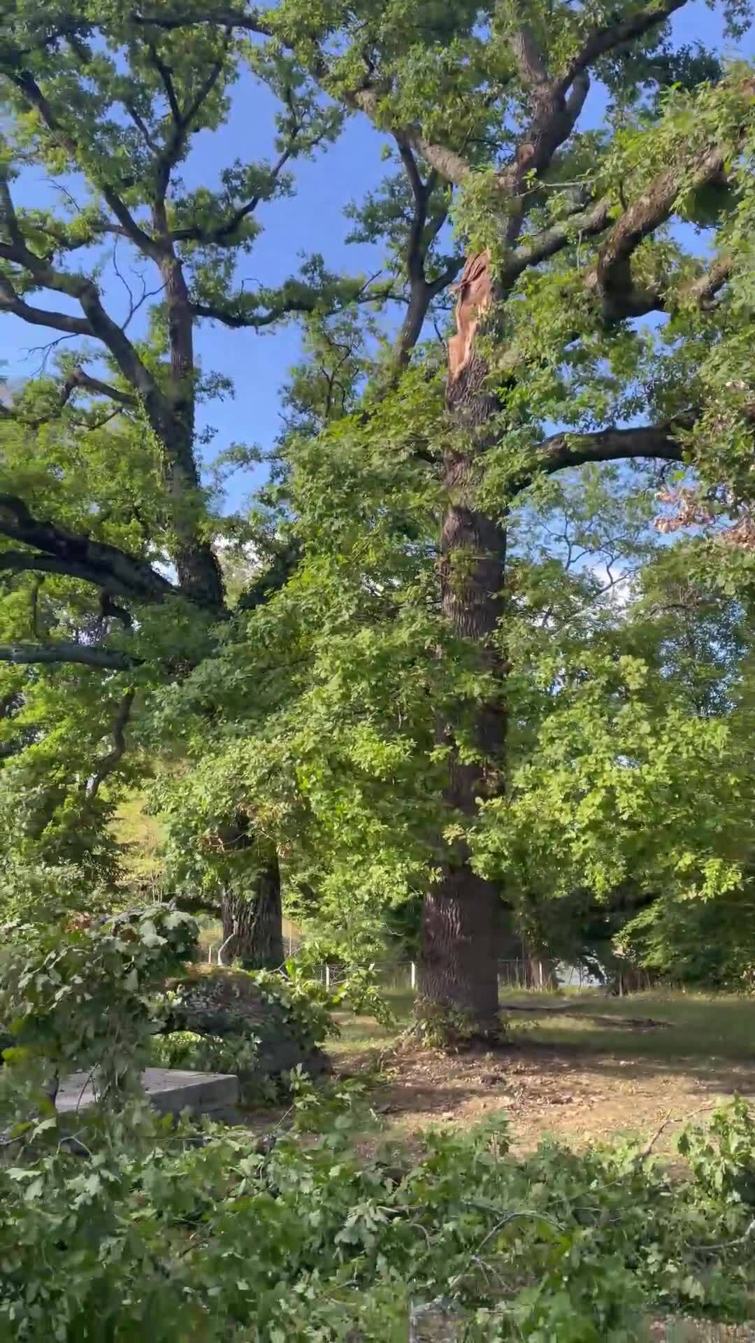 Le vent la semaine dernière.