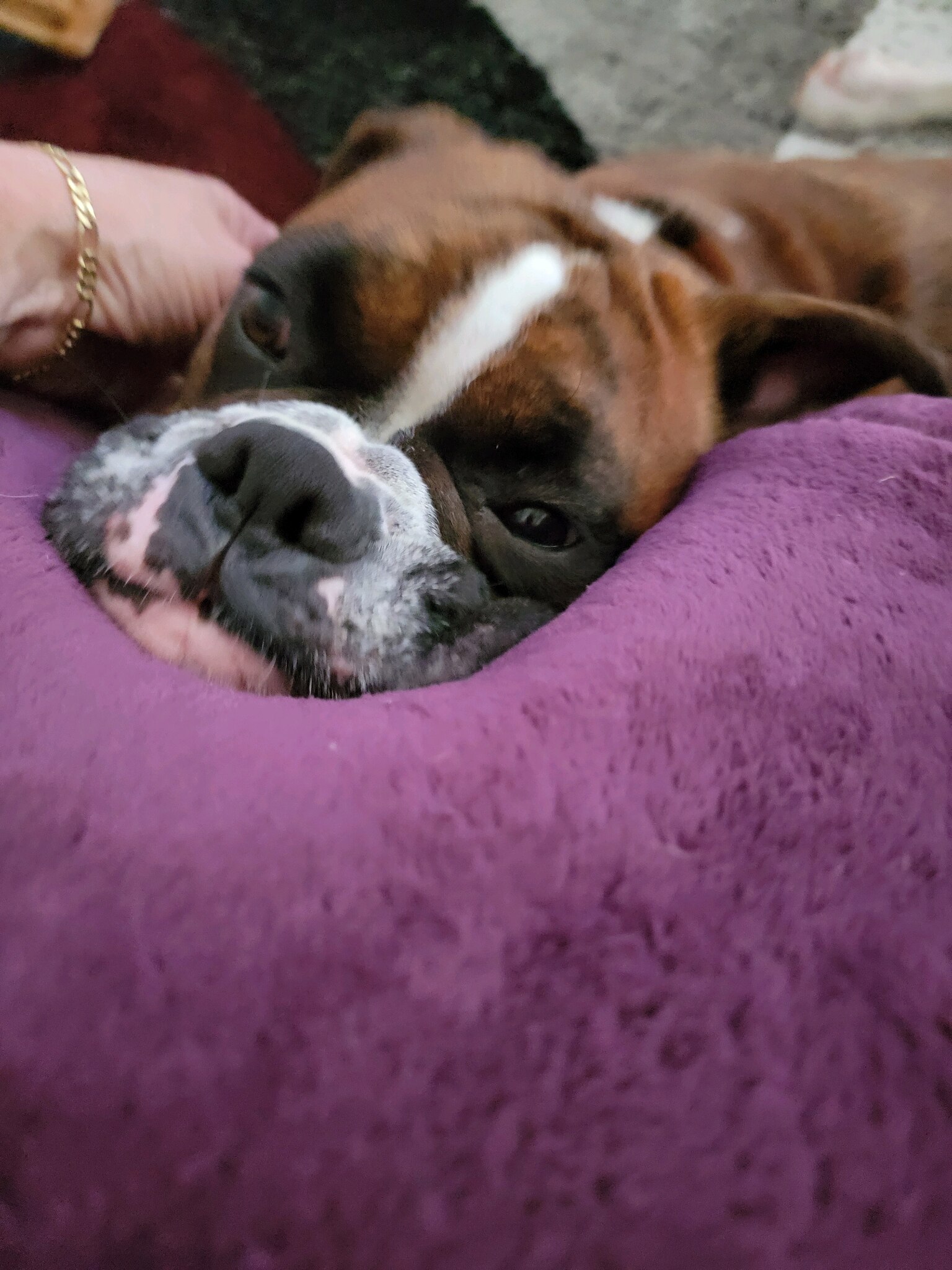 View Vicksta87's post on GETTR. Join the discussion, share your thoughts, and connect with the community.