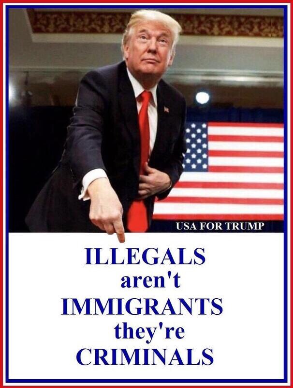 I Follow Back Patriots

