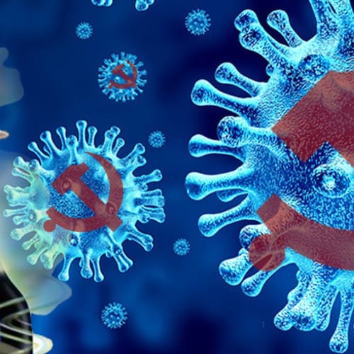 News and Truth for COVID and its Vaccines