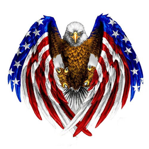 Just an "America First" guy since before it was cool.  #LoverOfLiberty  #Murica  #TrumpWon  #NCSWIC