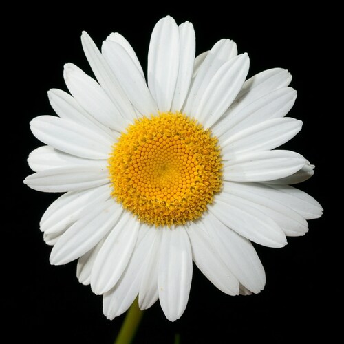 Visit Deeds Louise's profile on GETTR. View their posts, photos, videos, and connect with them on the social platform.