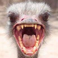 TRUMP 2024
DeSantis is a beast.
GO BUCS!
TB12