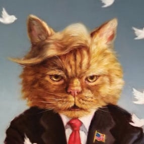 EXTREMELY CONSERVATIVE!  FJBLGB Sports nut (Broncos, Giants, Golf, Tennis, Nascar)  I'll be a ROCKER til I die.  420 Friendly.  😊🌸🏈🎸