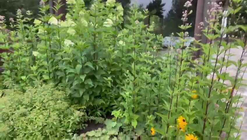 这次在路大骗子和蛇妖闫的问题上站错立场的，爆料革命和新中国联邦不接受任何理由的道歉