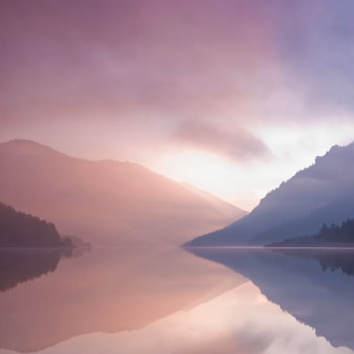 Visit Yanaaa's profile on GETTR. View their posts, photos, videos, and connect with them on the social platform.