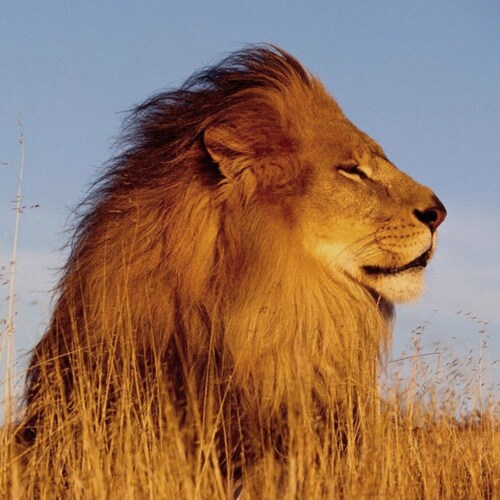 United States Navy veteran. Lived and worked in over 40 countries around the world. American veteran infidel. Biker tras...