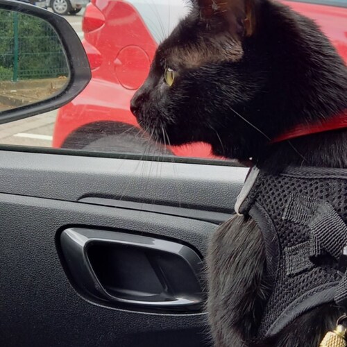 Visit Katie21's profile on GETTR. View their posts, photos, videos, and connect with them on the social platform.