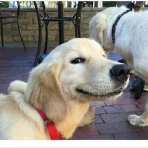 Visit LeGro's profile on GETTR. View their posts, photos, videos, and connect with them on the social platform.