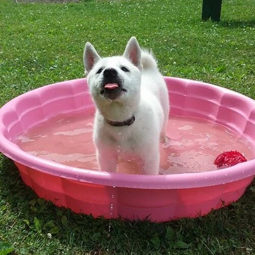 We stopped looking for monsters under our bed when we realized they were inside us......