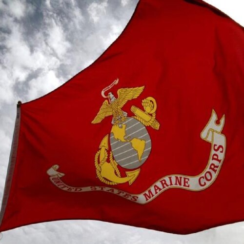 USMC 6027 (Vet), Vote for LESS Gov., denial is a mental disorder