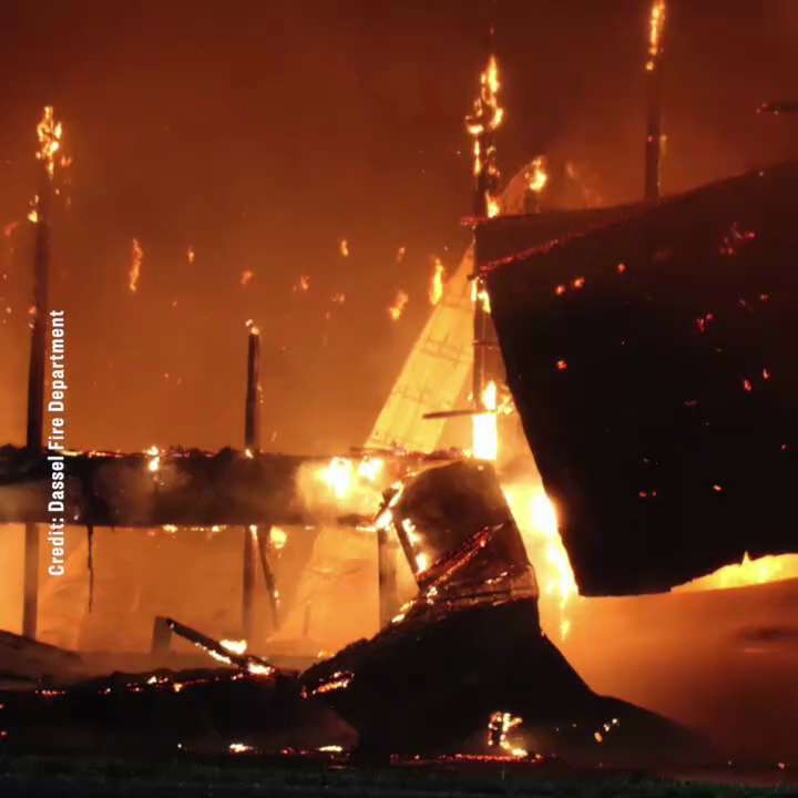 A large poultry #Farm in Minnesota, which supplied some of the biggest supermarkets in America with ...