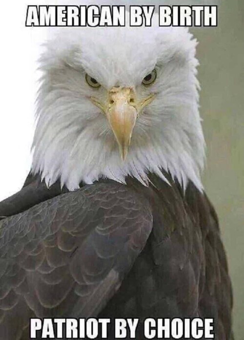 View LindaWTaveras🇺🇸's post on GETTR. Join the discussion, share your thoughts, and connect with the community.