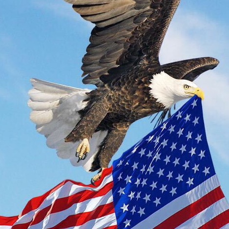 ULTRA MAGA American who loves the principles embodied in our Constitution by our Founding Fathers to reflect the highest...