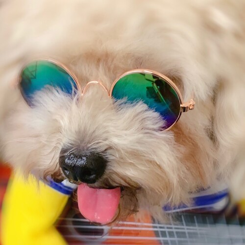 Only by loving democracy can we have freedom and human rights