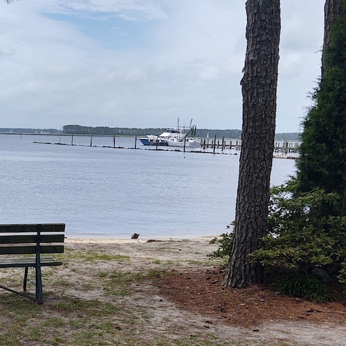 Visit JzarNade's profile on GETTR. View their posts, photos, videos, and connect with them on the social platform.