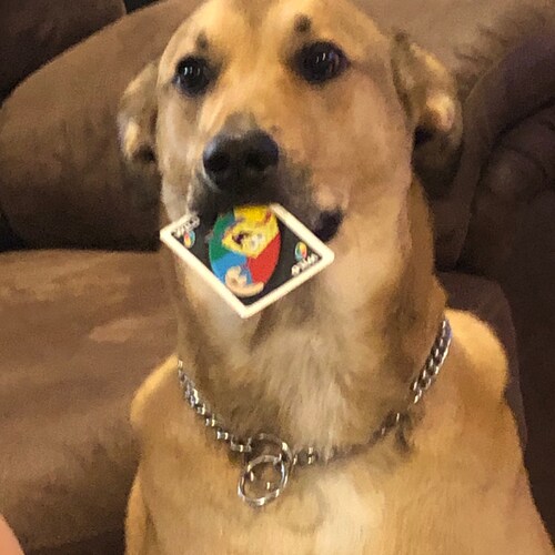 moderate conservative. Christian mom of 2 and wife to 1.