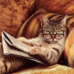 #releaseJ6prisoners! #Rule of Law, #1A, #2A #7A. “Democrats”= Party of Hate & Lies. Restore US energy independence! STOP...