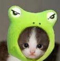 Avoiding Mr. Wong at the Golden Dragon Super Buffet since 2011. I hate socialism. if you like socialism you’re an ignora...