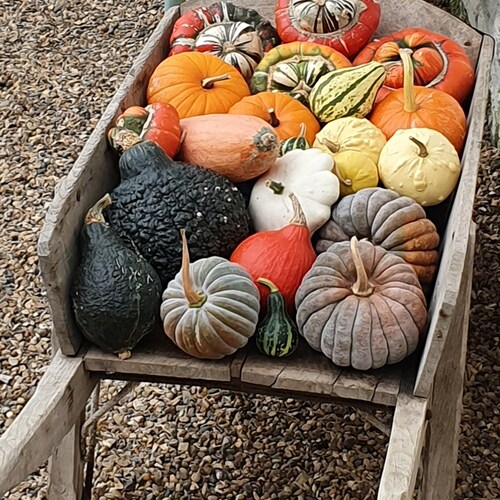 "In a world full of change the learners will inherit the Earth, while the knowers will find themselves beautifully equip...