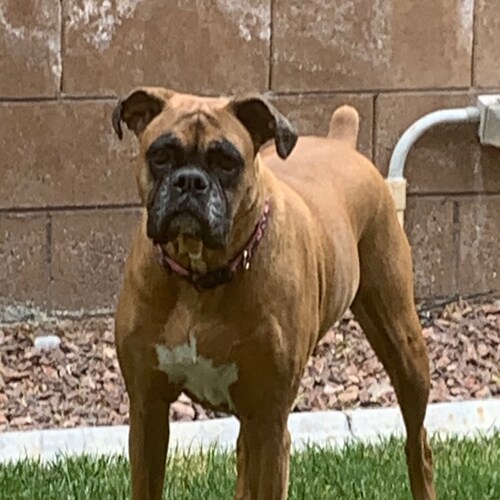 Believe half of what you see and none of what you hear.