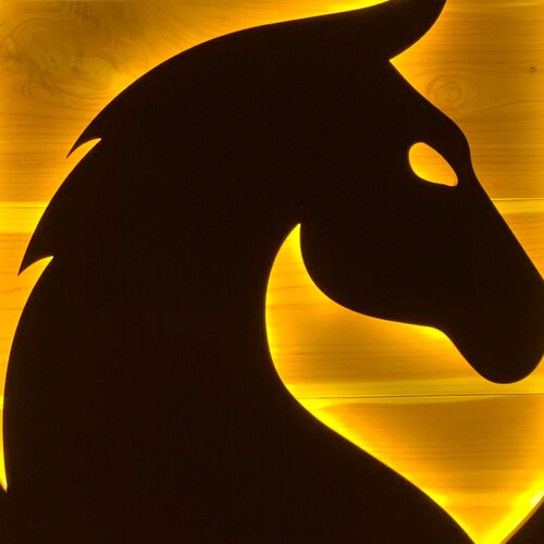 MAGA supporter, Dallas Cowboy fan,Let’s Go Brandon