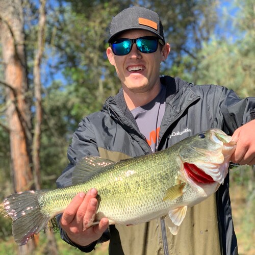 Farm Advisor in Central California.