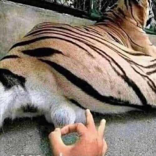 nothing to see here. move along now