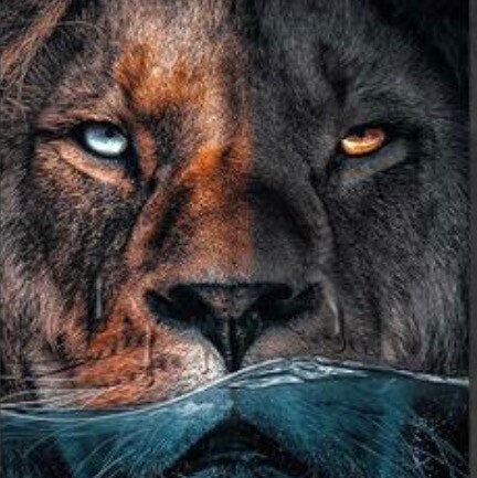 America First 🇺🇸, Motivational, Mindset