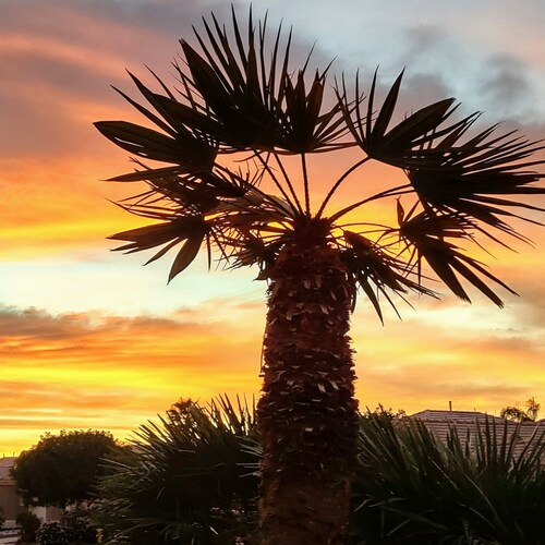 🗣 Unapologetic Patriot 🇺🇸 Support Vets 🇺🇸 Back the Blue   Open-minded to fact-supported opinions. Be happy!  ♥️Tenn...