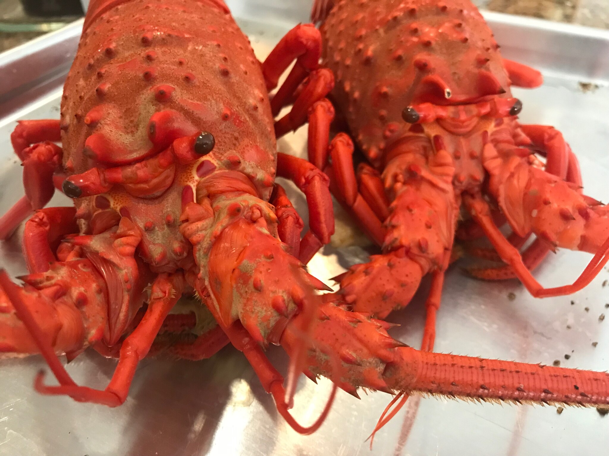 And done!  It’s time for lobster tacos and Sunday football! 

