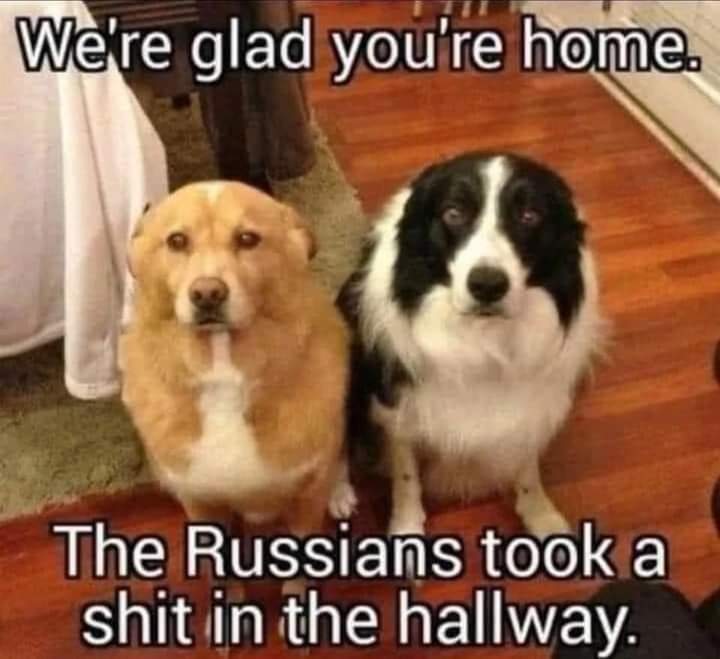 View buttcheeze's post on GETTR. Join the discussion, share your thoughts, and connect with the community.