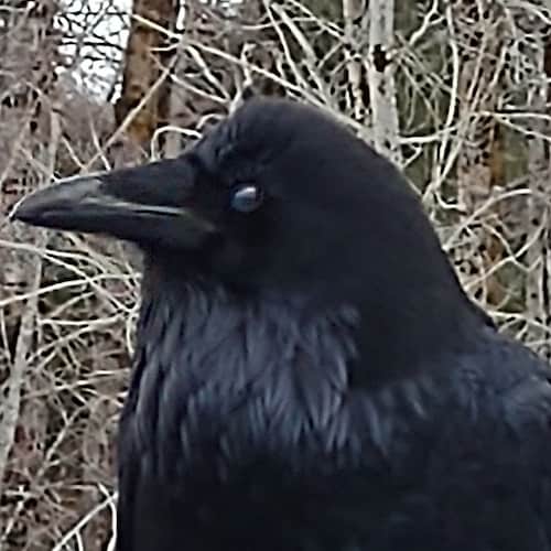 life's too Short not to have fun