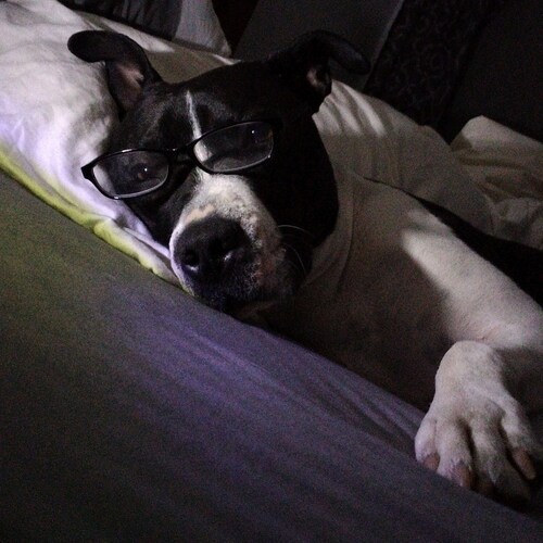 service connected disabled veteran. served with pride and distinction
looking to expose every domestic Enemy in our gove...