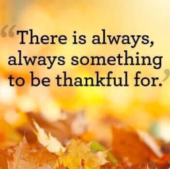 Visit SherylLee 🍊 🇺🇸🇺🇸🇺🇸's profile on GETTR. View their posts, photos, videos, and connect with them on the social platform.