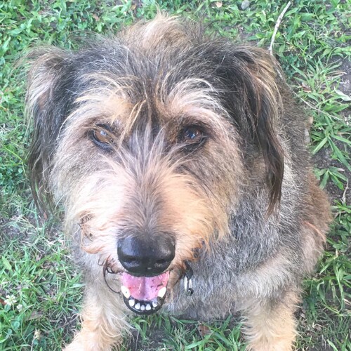 The difficult I’ll do right now — the impossible will take a little while.