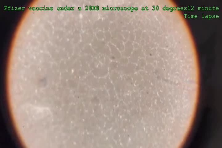 ⚠️Pfizer vaccine under a 28X8 microscope at 30 degrees
12 minutes Timelapse ⚠️