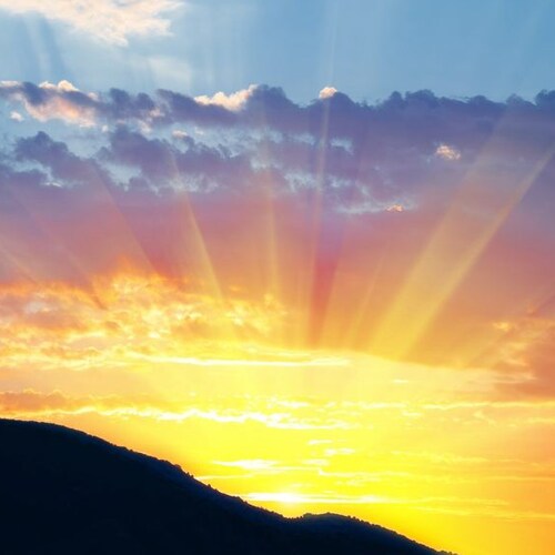 Make the Constitution Great Again!!
Wife, mom, recovering Democrat