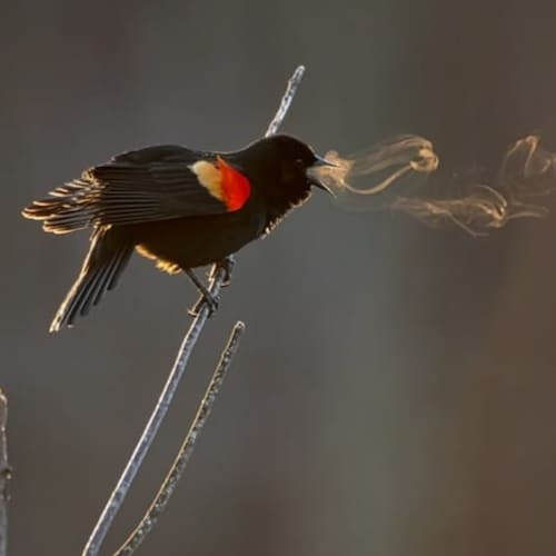 Just an every day grass roots American woman who loves making a difference anywhere I can.