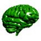 Brain-Sludge