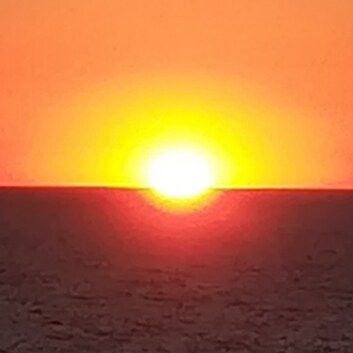 En quête de la Vérité pour trouver la Liberté!

La vérité sur les "vaxxinations":
https://infovaccins.over-blog.com