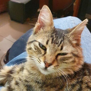 Visit WinnieRottem's profile on GETTR. View their posts, photos, videos, and connect with them on the social platform.