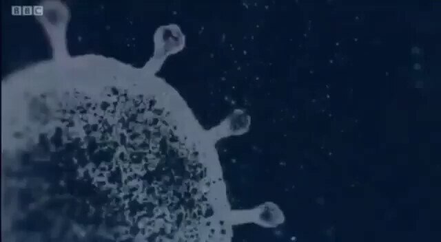 ""BBC admits they use HIV to make the covid vaccine""
 - from QTime Network on Telegram