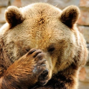 Middle Aged Nerd, System Analyst, Italian-American