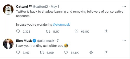 #CatturdForTwitterCEO 👍